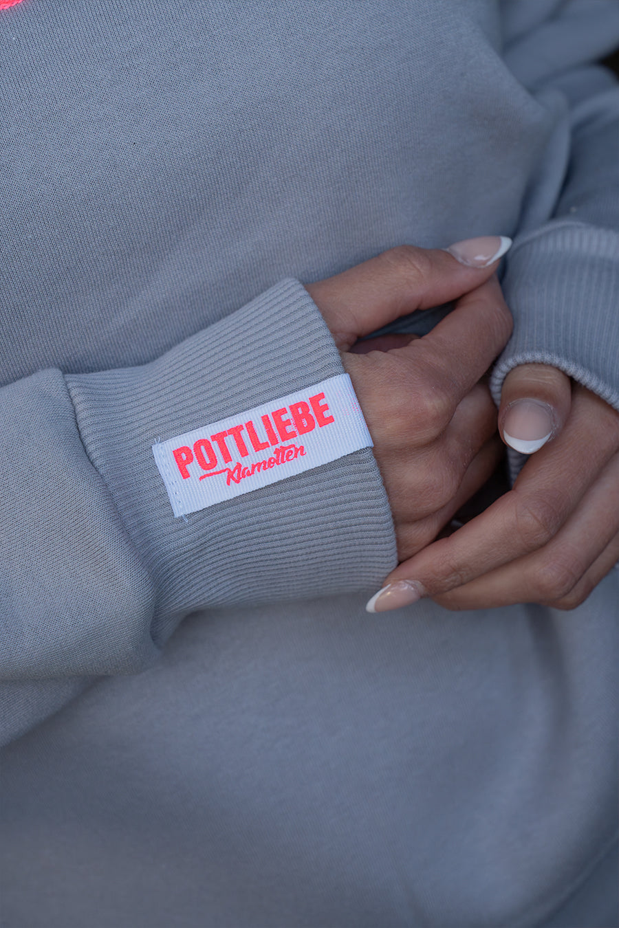 Hoodie "PTTLBE" Grau / Neon-Pink