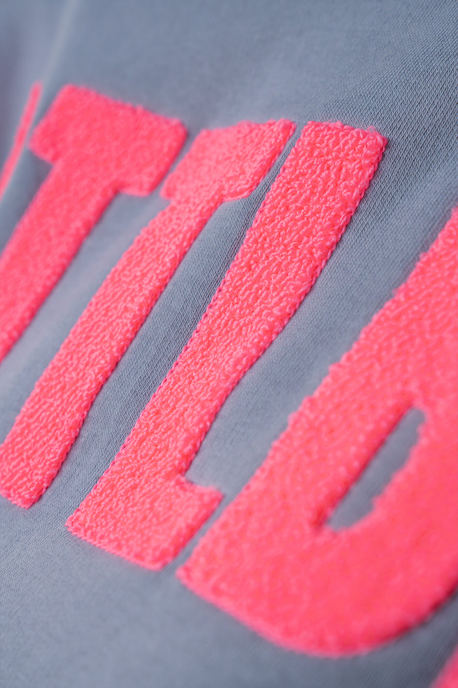 Hoodie "PTTLBE" Grau / Neon-Pink